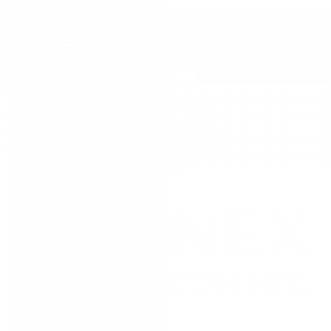 Alonex Audit & Conseil