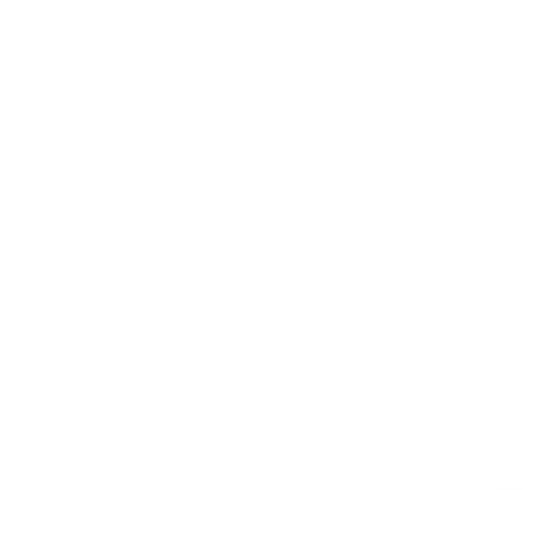 Alonex Audit & Conseil